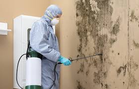 Why You Should Choose Our Mold Remediation Services in Westvale, NY